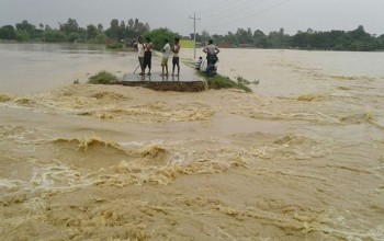 दाङको राप्ती नदीमा आएको बाढीका कारण बेलाघाटको बीचको टापुमा फसेका चारको उद्धार